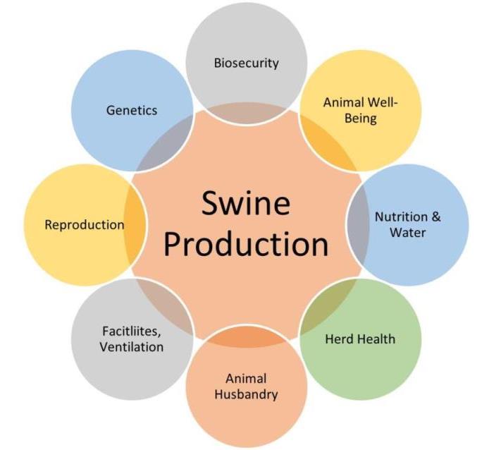 What Are The Equipment And Facilities In Swine Production